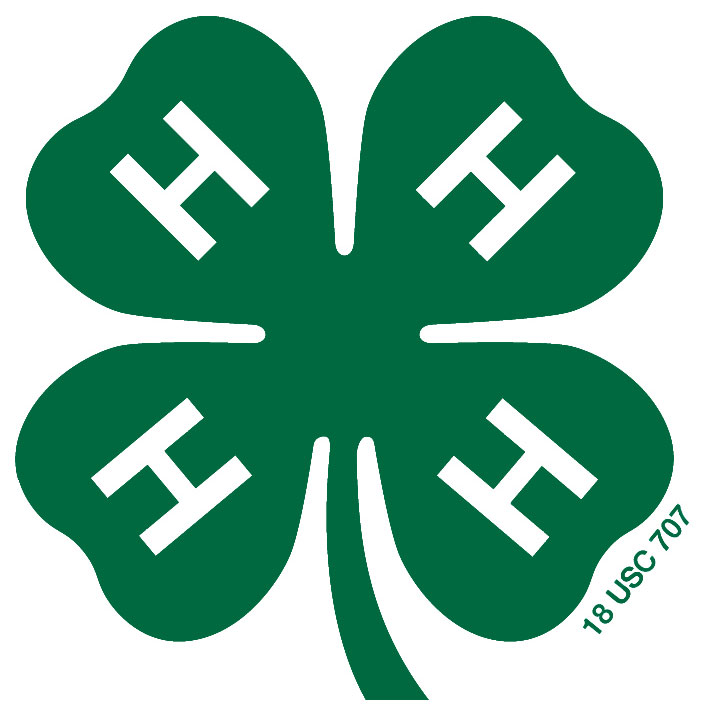 4H Clover