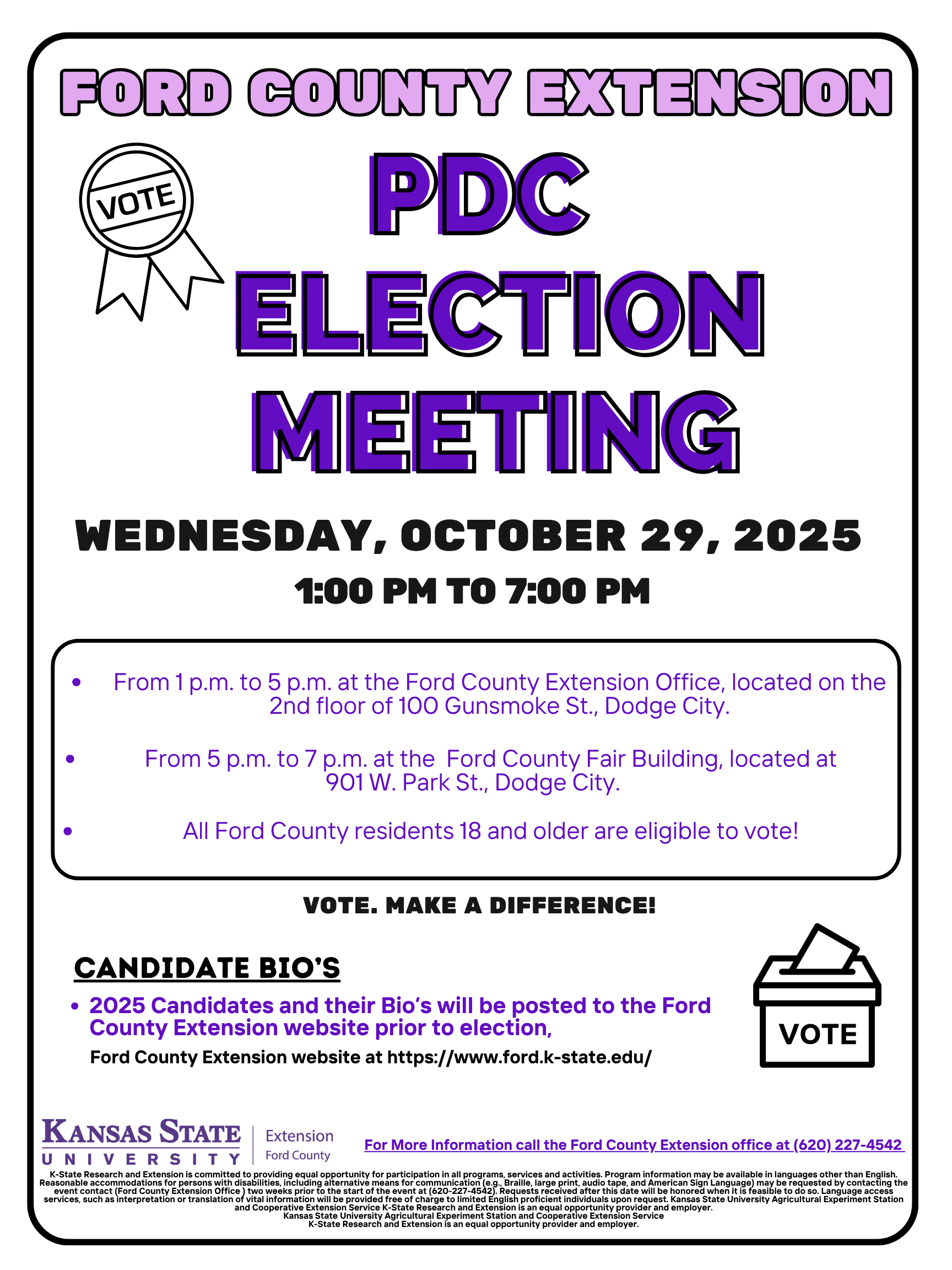 flier for election