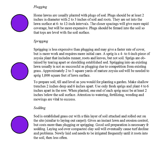 methods for planting zoysia